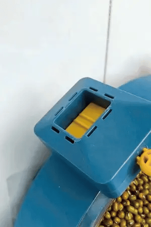 Food Grains Storage Box