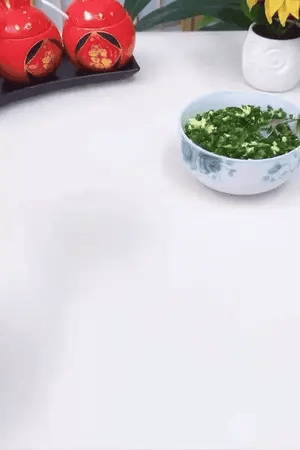 Stainless Steel Dumpling Press